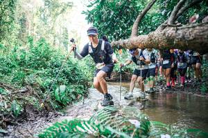 BIB: 
                            <button type="button" onclick="openModal(25475831)" class="btn btn-primary btn-sm float-right btn-popup" data-toggle="modal" data-target=".modal-high-quality">
                        <i class="fas fa-shopping-cart"></i> Add to Cart
                    </button>
                                            <button type="button" onclick="isThisMe(25475831, true)" class="btn btn-success btn-sm float-right btn-popup btn-isme hidden" data-toggle="tooltip" data-placement="bottom" title="นี่คือรูปของคุณใช่ไหม คลิกที่นี่เพื่อเอาเข้าอัลบั้ม">
                        <i class="fas fa-plus"></i> Add to album
                    </button>
                    <button type="button" onclick="isThisMe(25475831, false)" class="btn btn-warning btn-sm float-right btn-popup btn-isnotme hidden">
                        <i class="fas fa-ban"></i> Remove from album
                    </button>